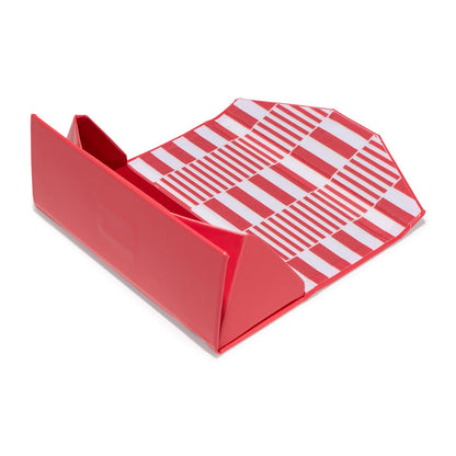 beach riot x diff eyewear open triangle case