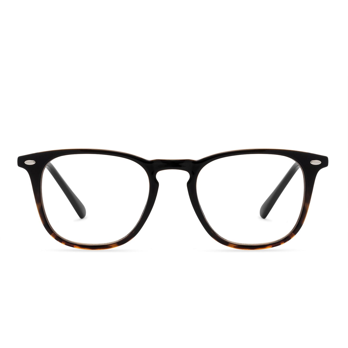 GRIFFIN - BLACK TORTOISE + BLUE LIGHT READERS front