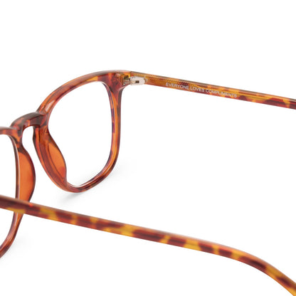 GRIFFIN - AMBER TORTOISE + BLUE LIGHT READERS detail