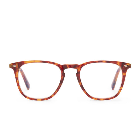 GRIFFIN - AMBER TORTOISE + BLUE LIGHT READERS front