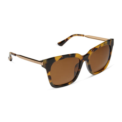 diff eyewear featuring the bella square sunglasses with a brown kombu frame and brown polarized lenses angled view